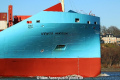 Bug-Venta Maersk TL-140219-6.jpg